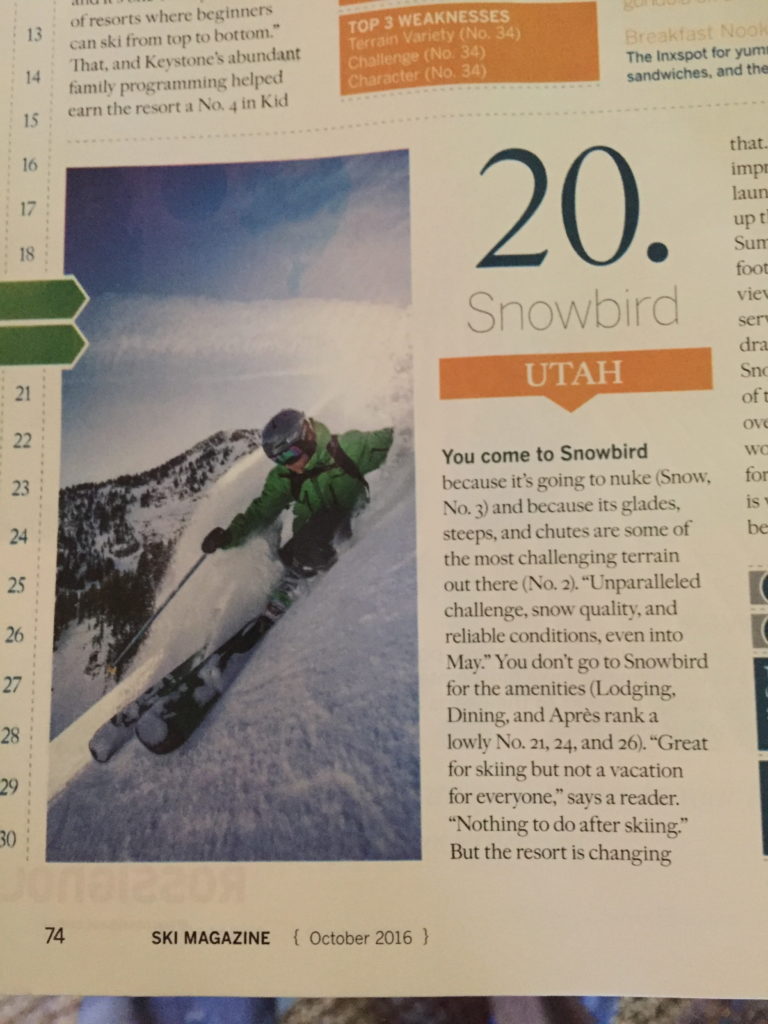 Tyler Peterson skier skiing Alta Snowbird Utah Volkl POC